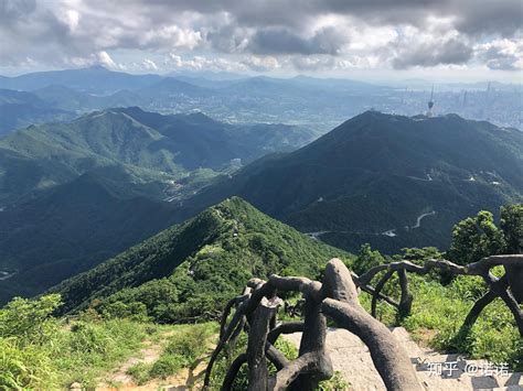 深圳梧桐山